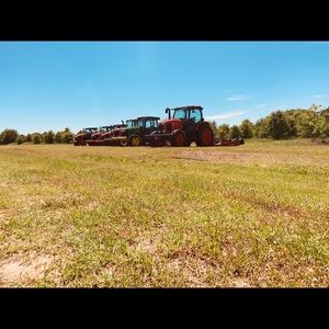 Meet your Posher, Lily